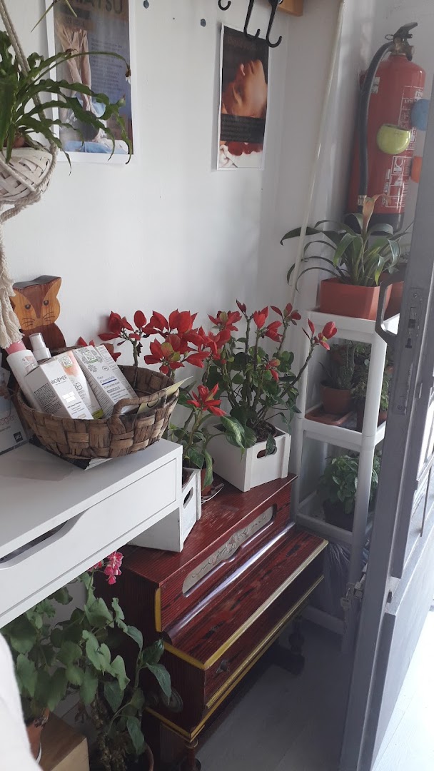 Sándalo · Fotos 13